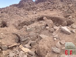 نزول لجنة الي مواقع قطنه والذي يقع في الجهة الشرقية لمدينه بينون . - صورة إضافية 1